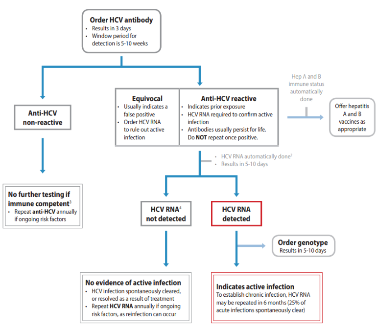 hepatitis b treatment guidelines